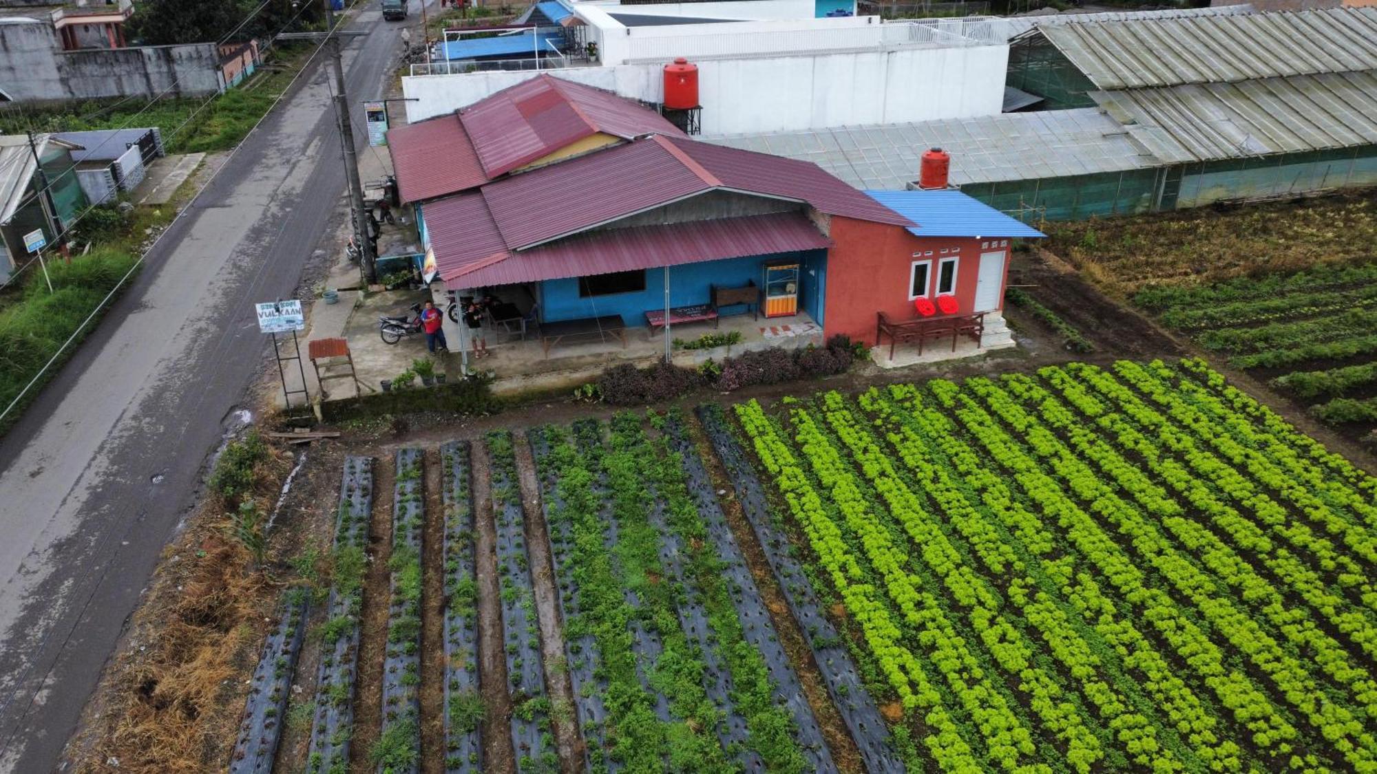Vulkaan Homestay Berastagi Extérieur photo